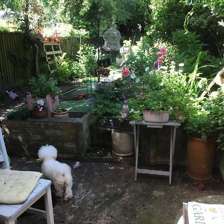 Arts&Bichonsb&B Οξφόρδη Εξωτερικό φωτογραφία